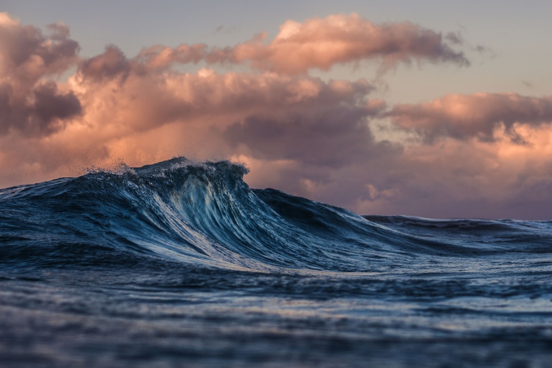 How Forex Traders Can Survive Extreme Market Volatility in 2026 — Photo by Silas Baisch on Unsplash